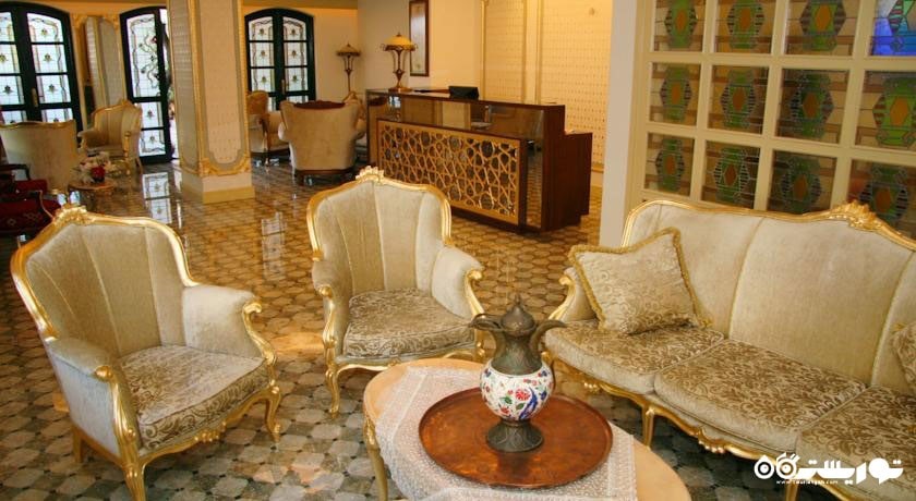 محوطه نشیمن قسمت پذیرش هتل